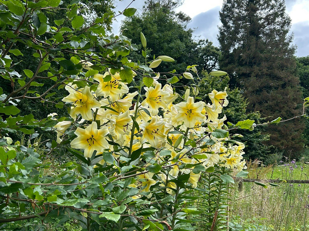 Cavens Country House (dinner Included)主图