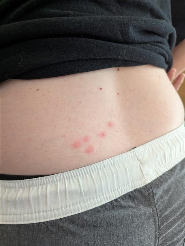 洛克维尔喜来登酒店主图