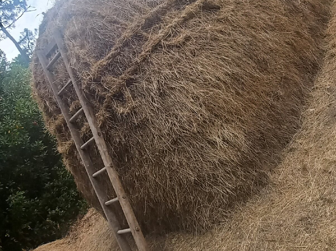 Bourrine du Bois Juquaud-Saint-Hilaire-de-Riez必去景点