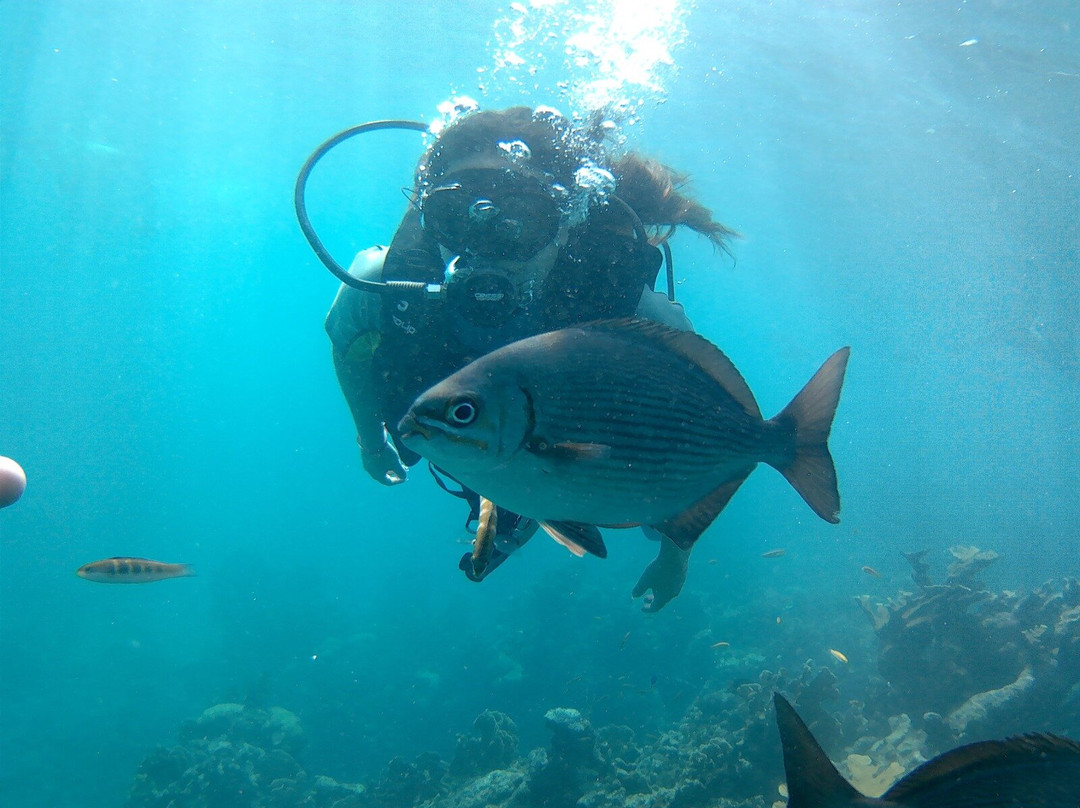 UnderwaterCuba-巴拉德罗必去景点