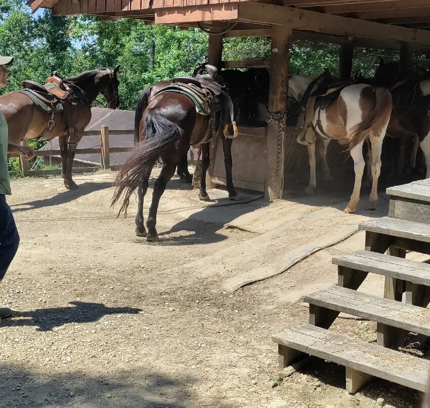 Cumberland Falls Horse Riding Stables-Corbin必去景点