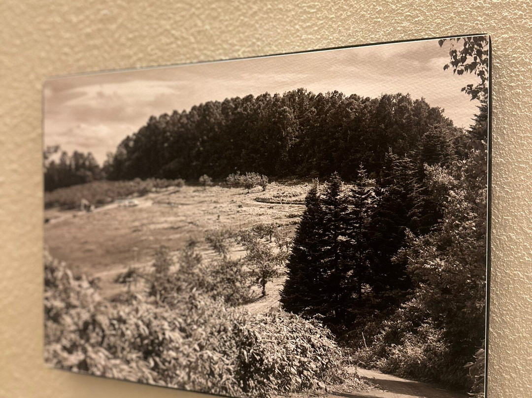 NIKI Hills Winery-仁木町必去景点