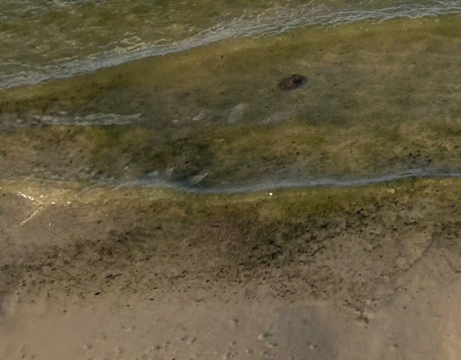 Twin Points Park-沃思堡必去景点