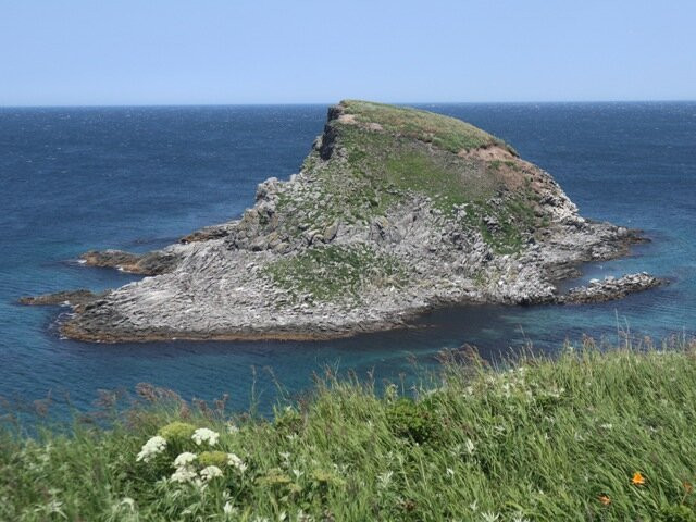 Fujinienchi Park-利尻富士町必去景点