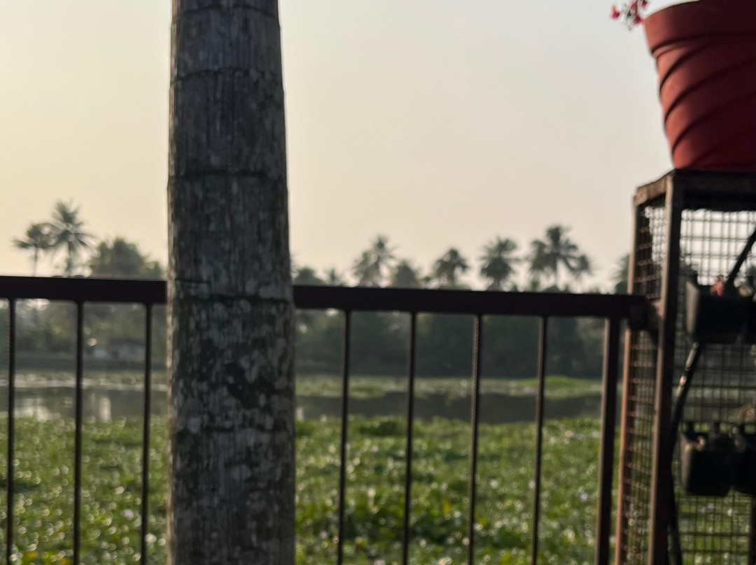 Backwater Brook Resort主图