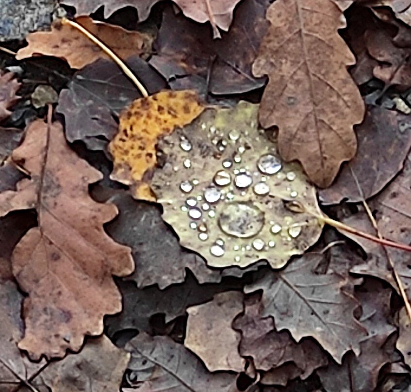 Mirador Eriste-Eriste必去景点