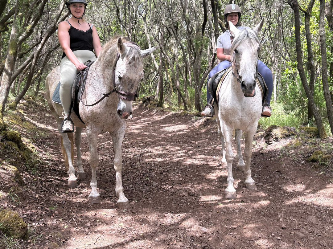 Centro Hípico Savvy Tenerife / Horse riding Tenerife / Reiten Teneriffa-德拉克鲁兹索尔港必去景点