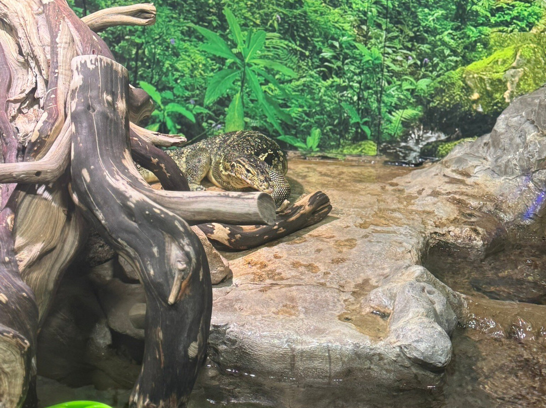 OdySea Aquarium-斯科茨代尔必去景点