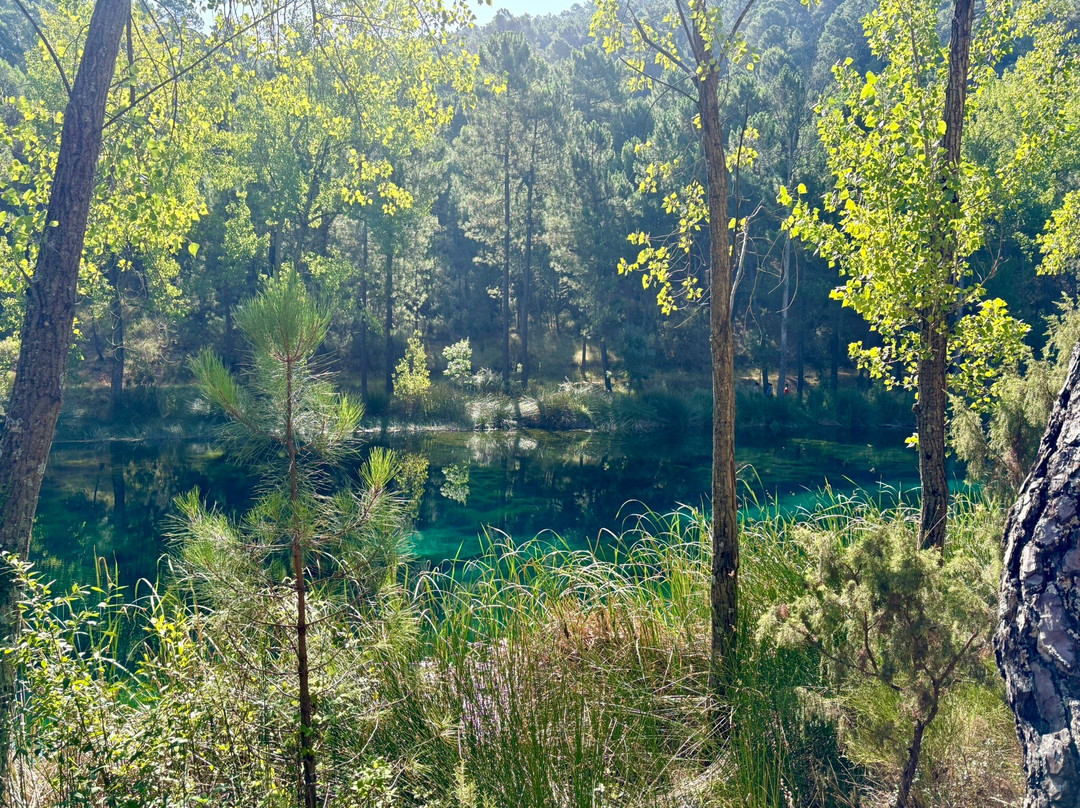 Nacimiento de Rio Frio-Dehesa de Santiago必去景点