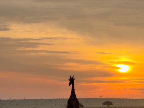 Ancient Africa Safaris-恩德培必去景点