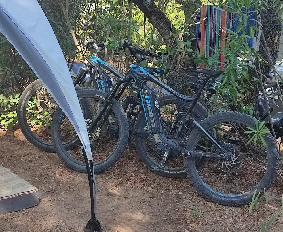 Sol & Bike-Charleval必去景点