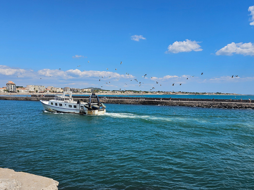 Plage de la Tamarisiere
