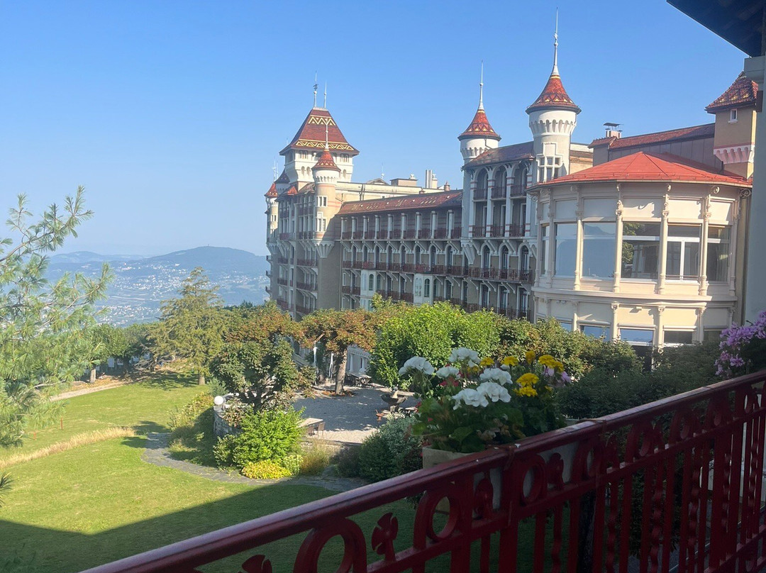 Train à crémaillère Montreux - Rochers-de-Naye-蒙特勒必去景点