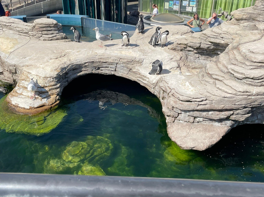 Ozeaneum-施特拉尔松德必去景点