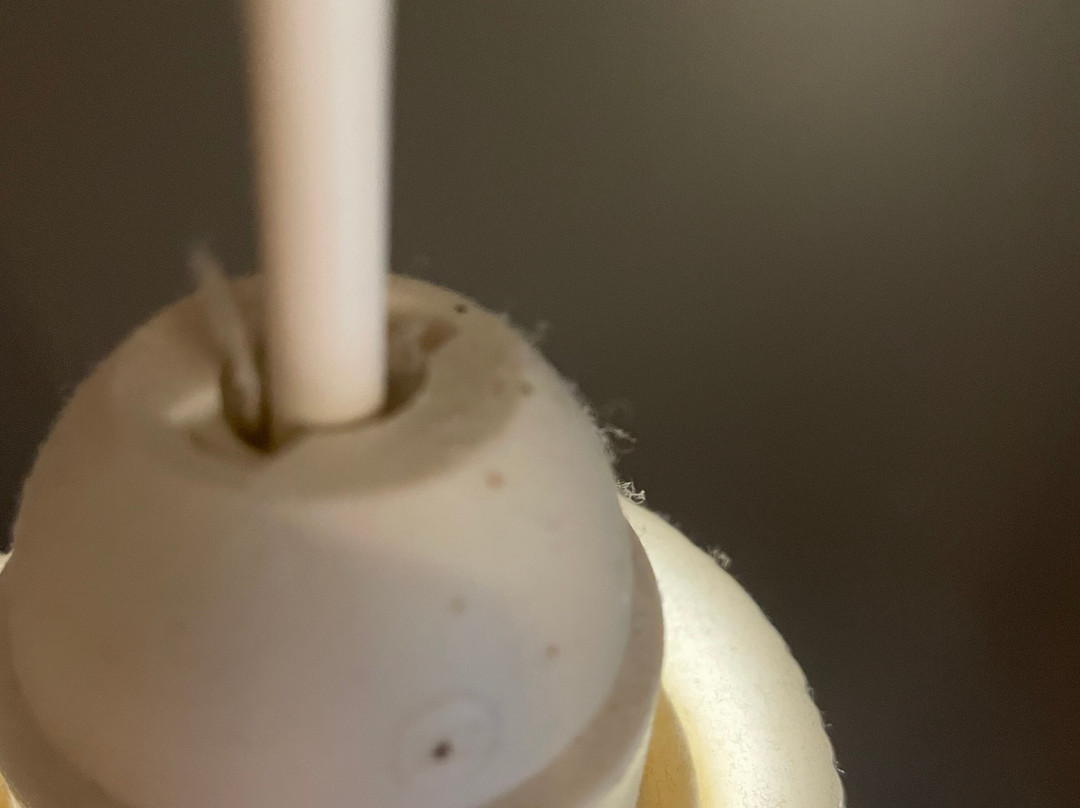 Le Domaine de Baulieu, Singuliers Hôtel主图