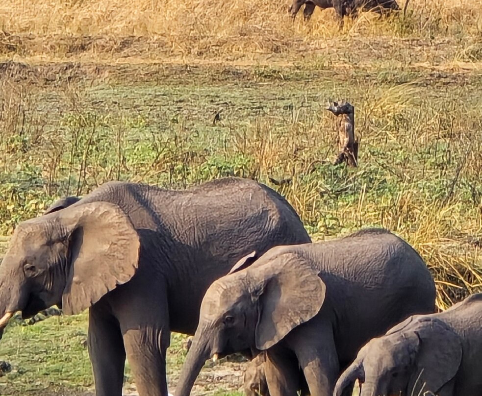Nyasi Adventure-Dar es Salaam必去景点