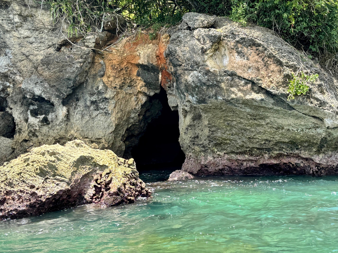 Experience Adventure Time Tobago-多巴哥必去景点