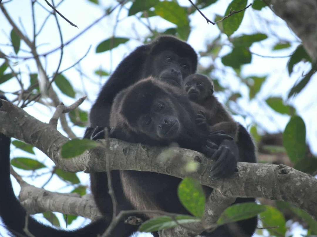 Parador Resort & Spa主图