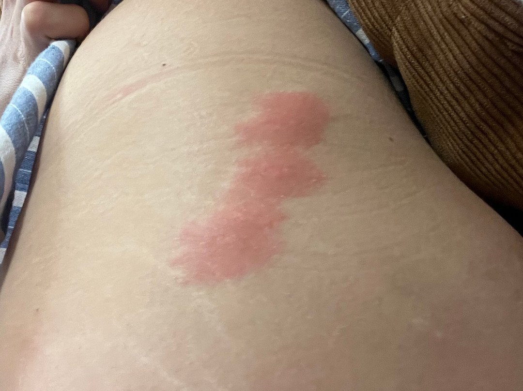 Namaste Palace Hotel主图