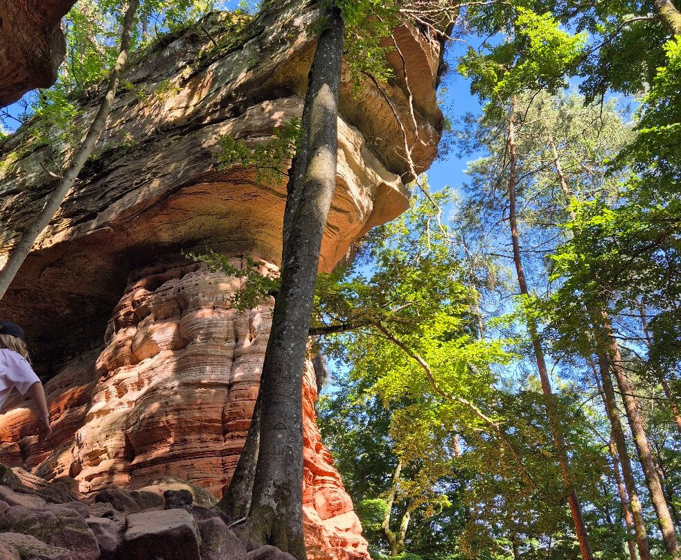 Altschlossfelsen-Eppenbrunn必去景点