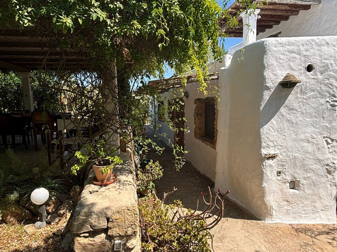 Yoga Pilates Ibiza-伊维萨必去景点