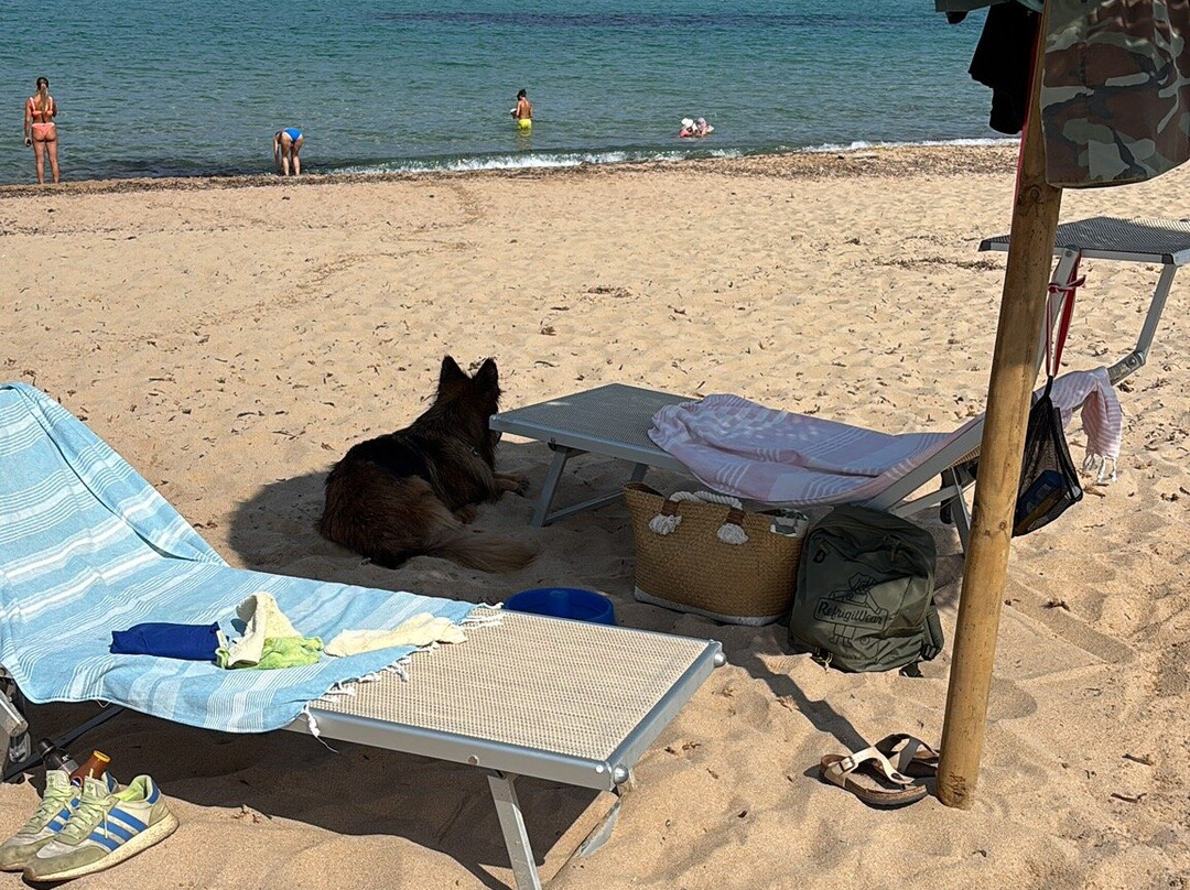 Lido Dog Beach-Aglientu必去景点