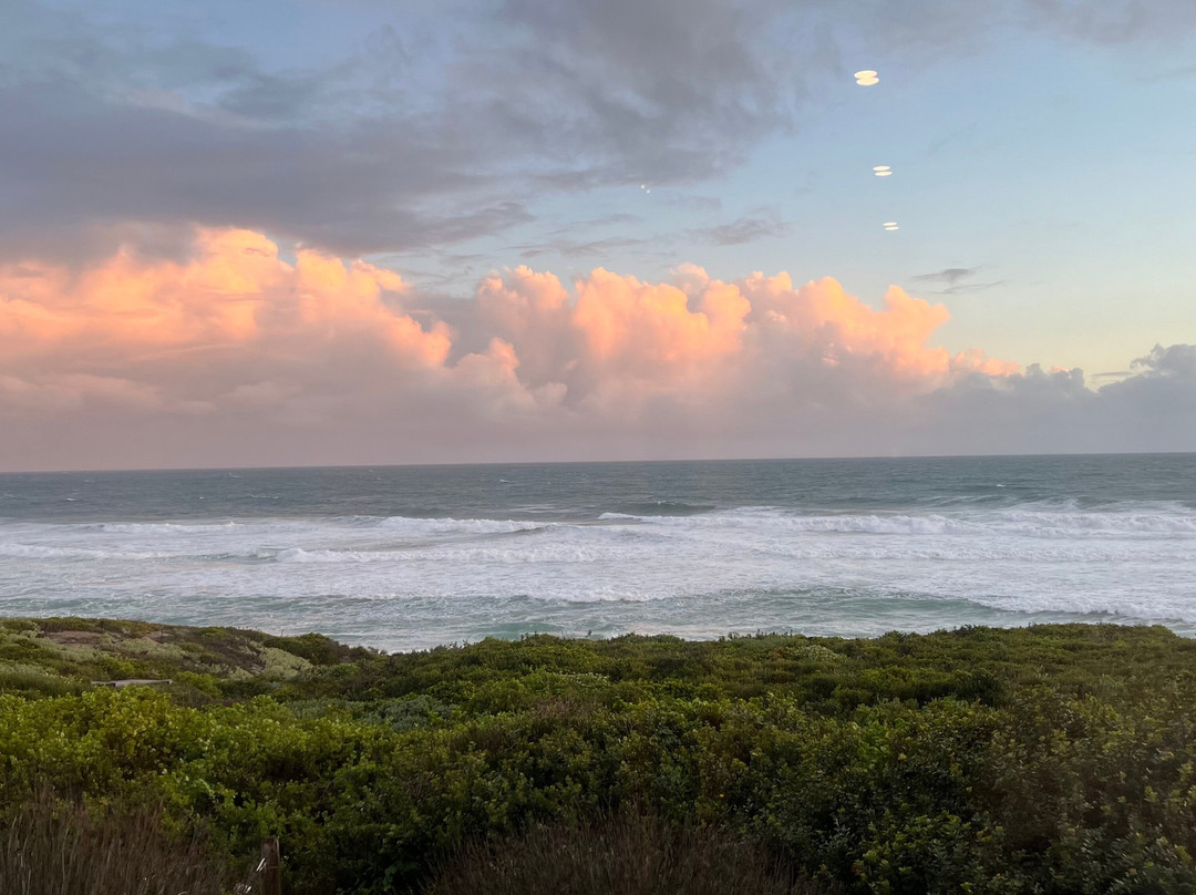 The Olive Tree Villa主图