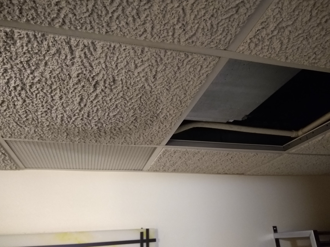 Everspring Inn主图