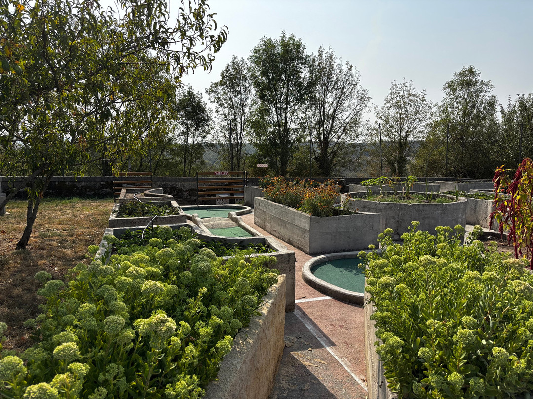 Les Dépendances Du Château主图