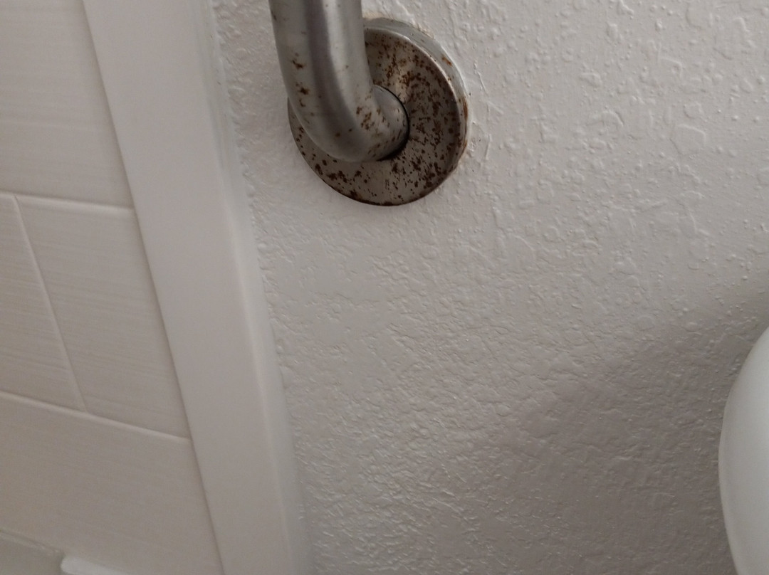 Best Western Mulberry Hotel主图