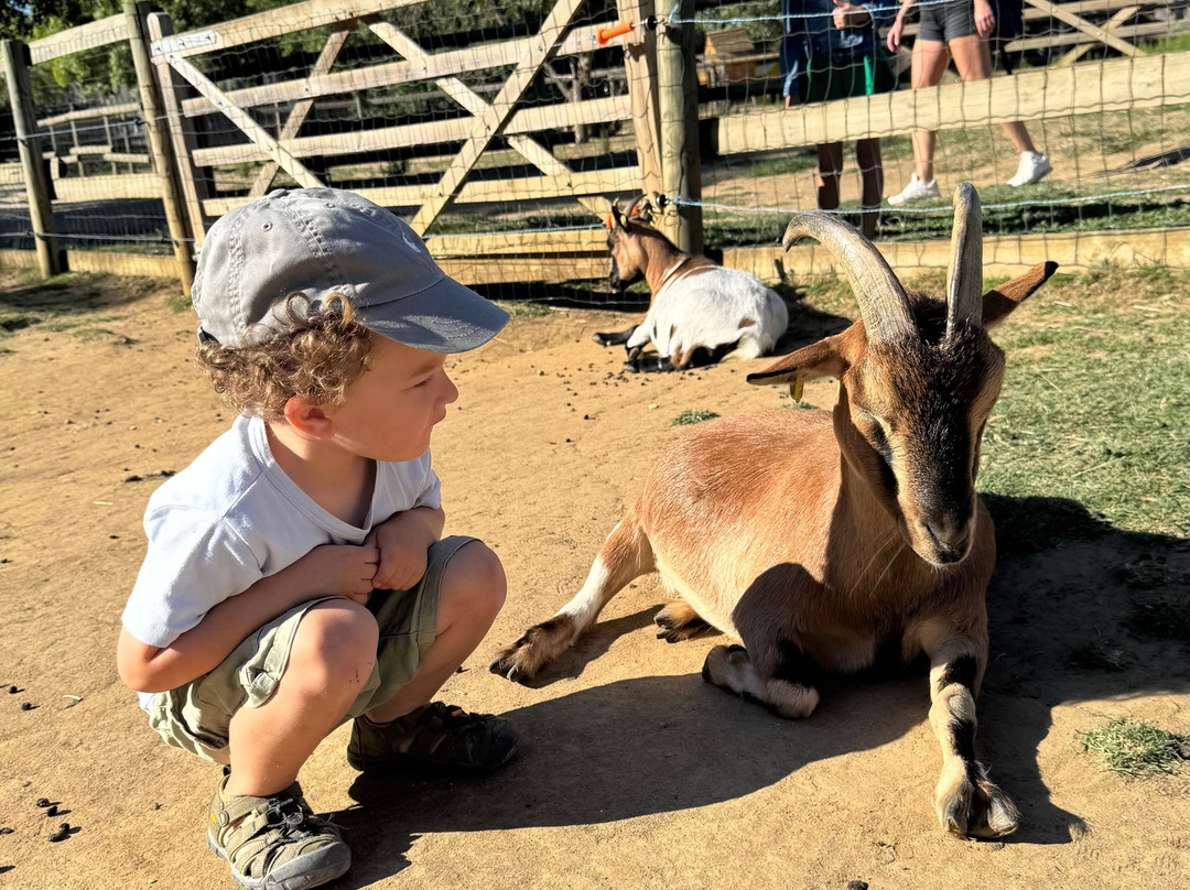 Parc Animalier des Gorges de l'Ardeche-Vagnas必去景点