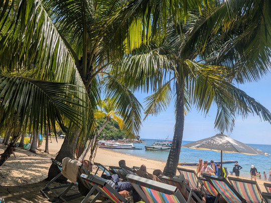 Tommy Shore Excursions-岘港必去景点