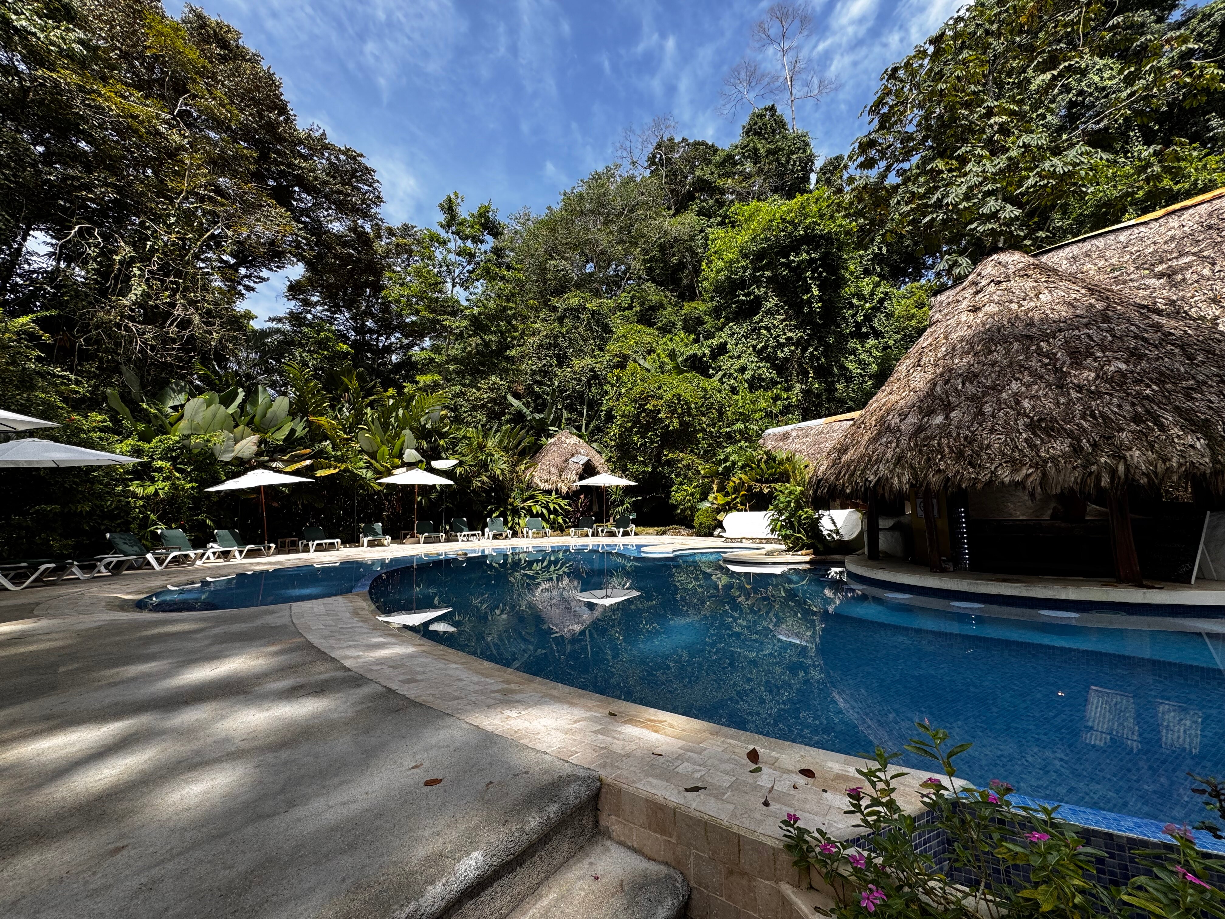 Cariblue Beach & Jungle Resort-泳池