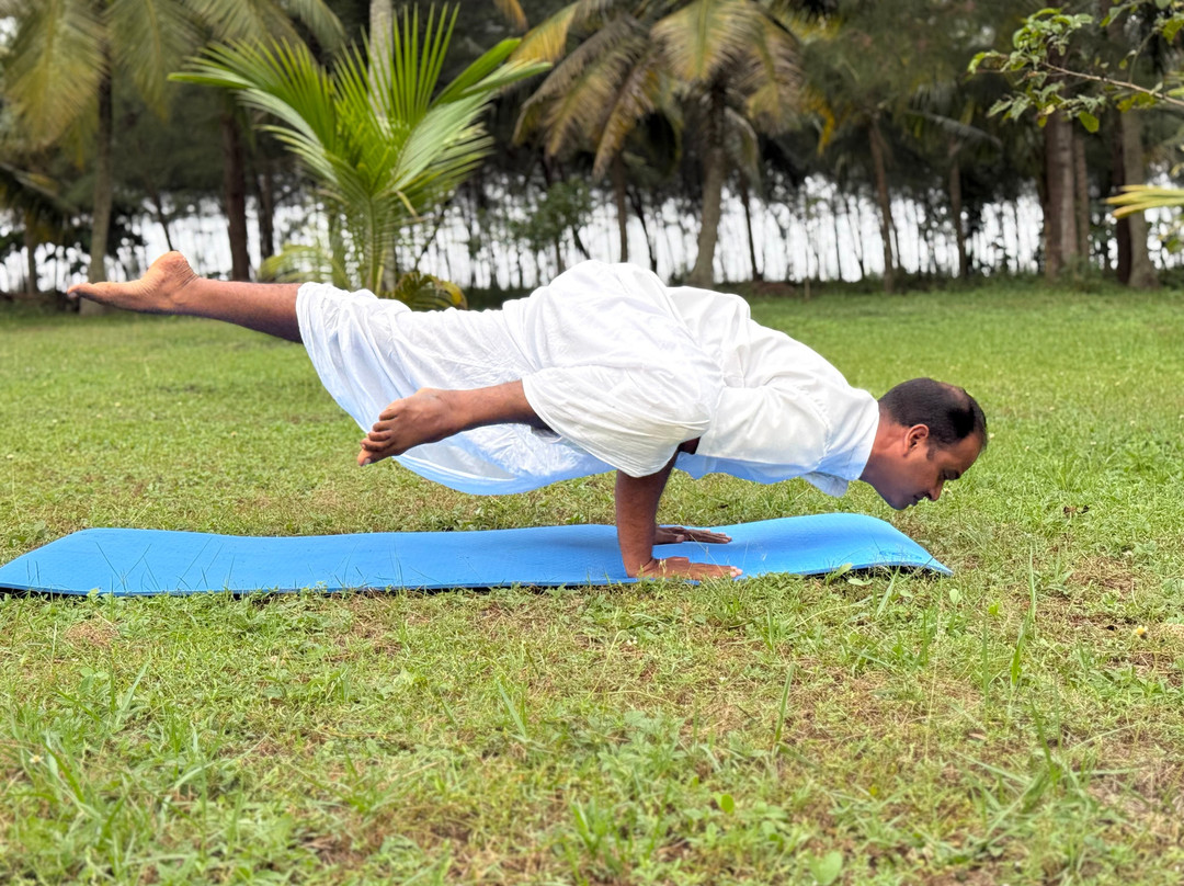 Marari Yogashala & Kalarippayattu center-Kattoor必去景点
