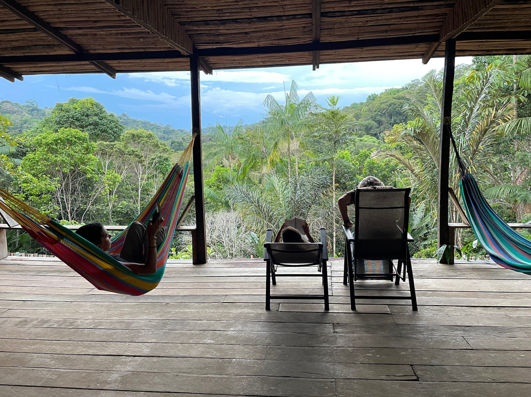 Amazon Emotions-玛瑙斯必去景点