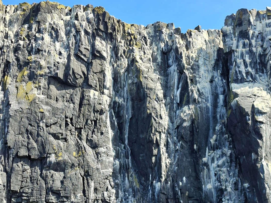 Isle Of May Boat Trips-Anstruther必去景点