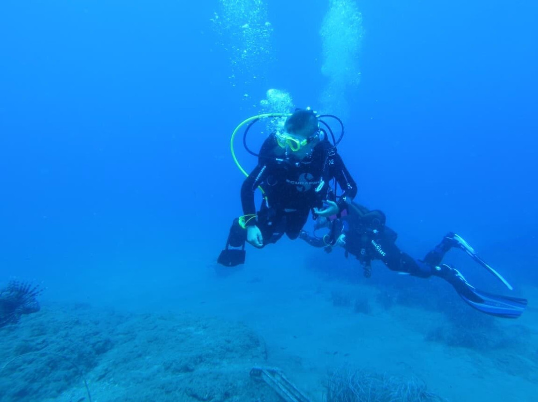 Coral Diving Crete-Anissaras必去景点