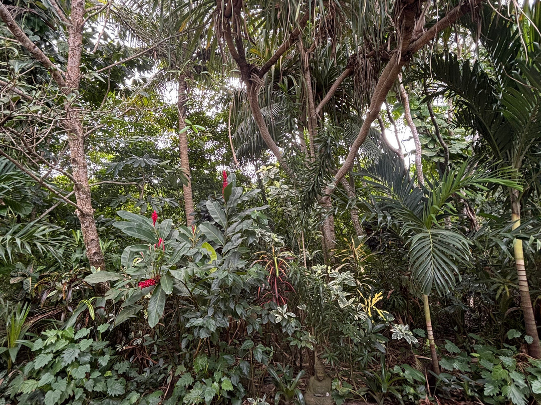 Sigatoka Spa-辛加东卡必去景点