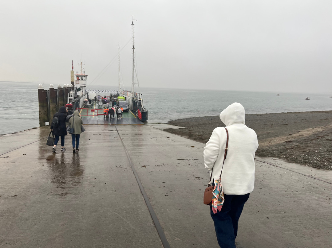 Carlingford Lough Cruises-Carlingford必去景点
