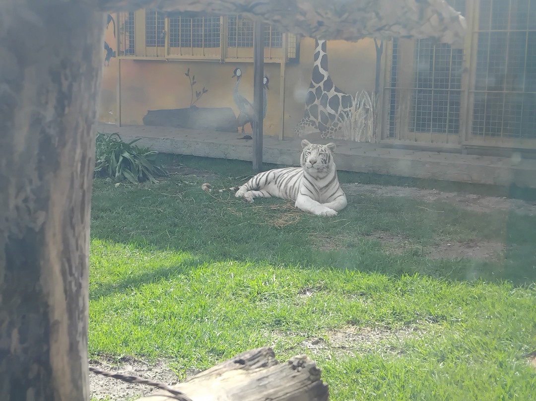 Zoo Parque Loro Puebla-普埃布拉必去景点
