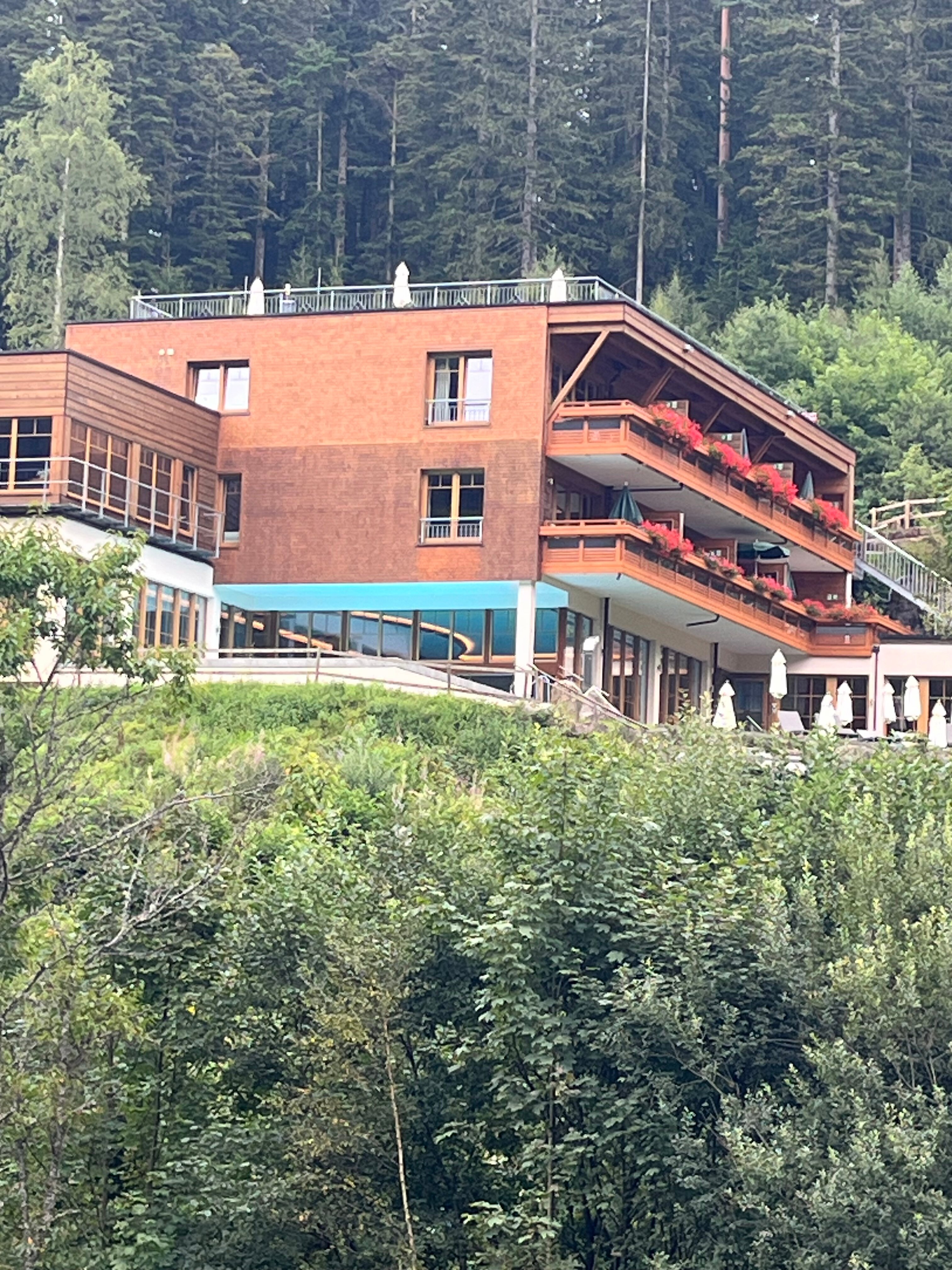Forsthaus Auerhahn-官方