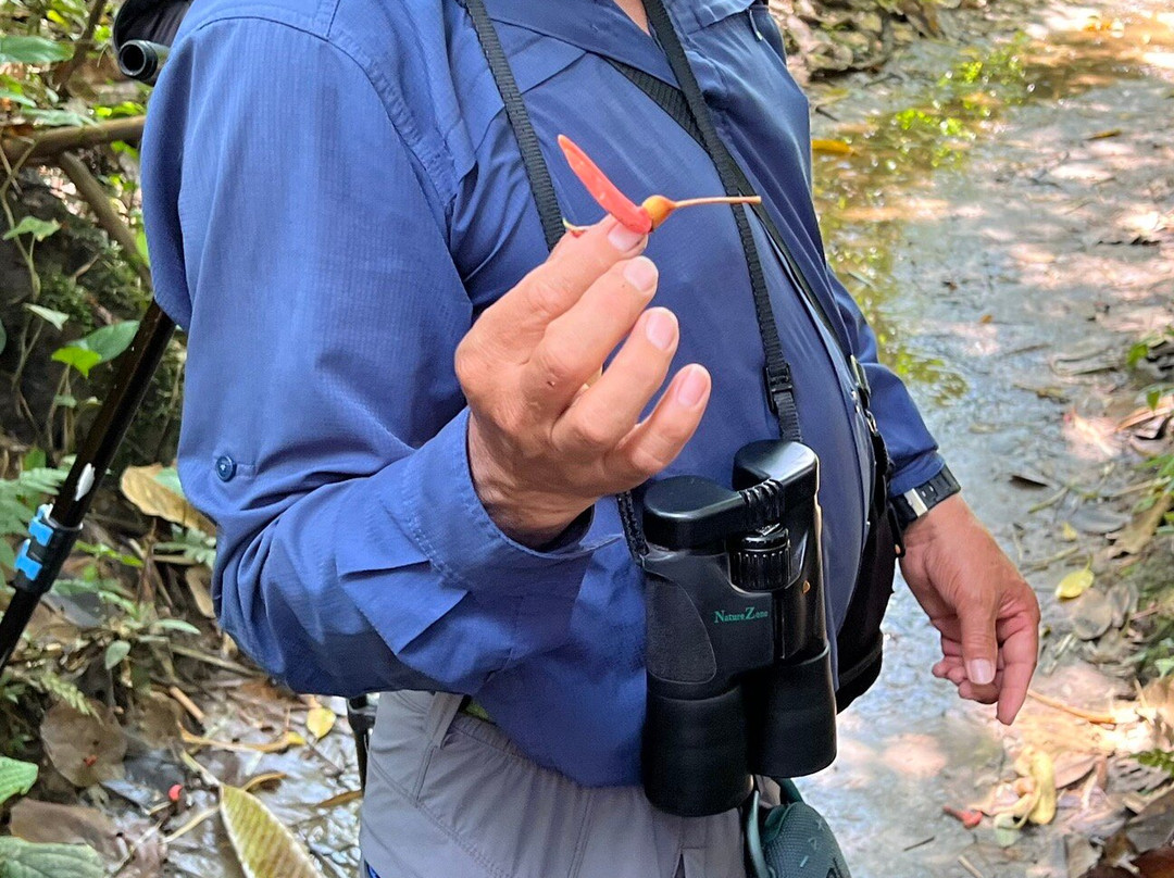 Pantiacolla Tours-Atalaya必去景点