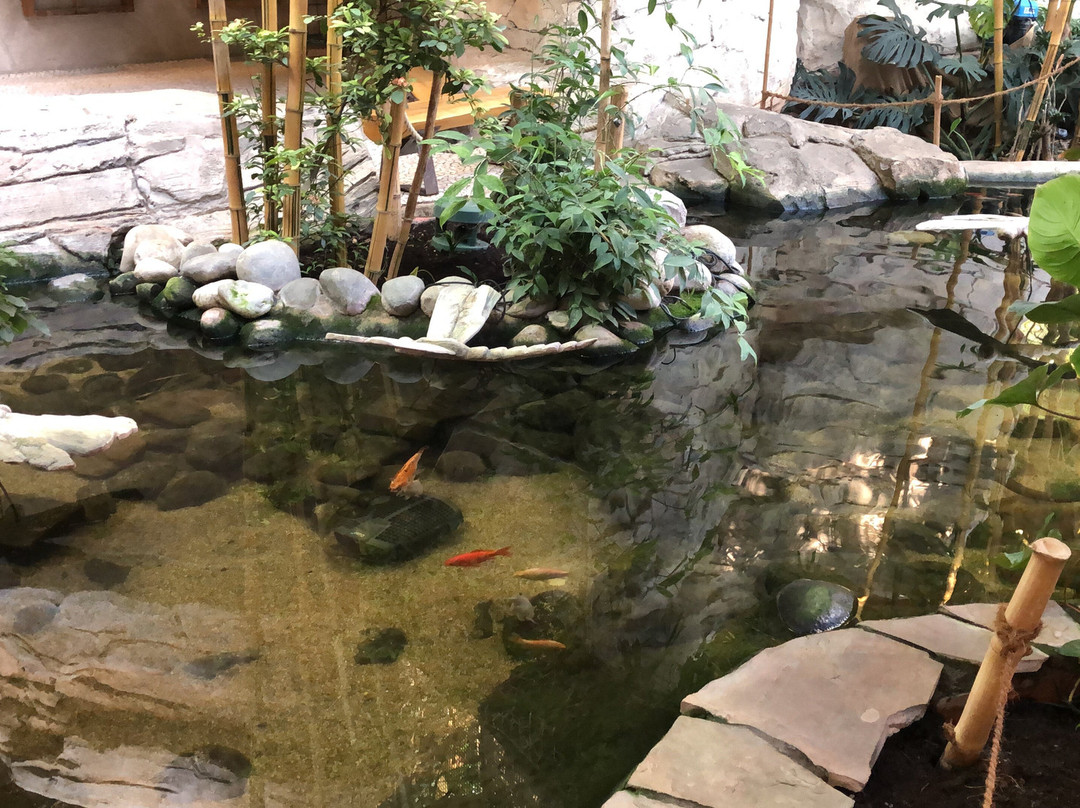 Aqua Mundo Center Parcs Park Allgäu-Leutkirch im Allgau必去景点