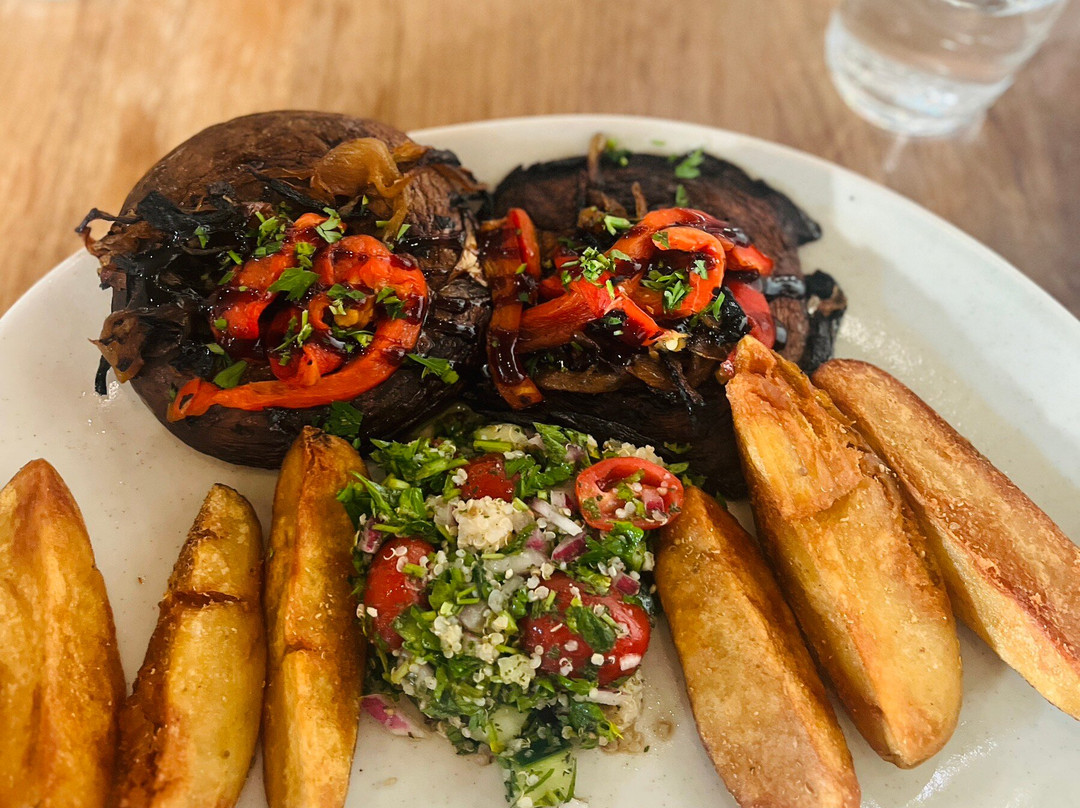 Cypriana - Maple Lawn