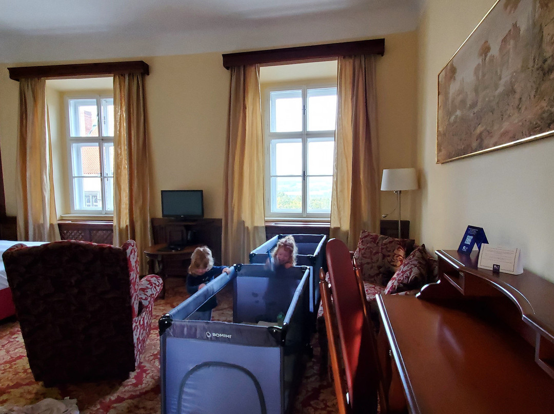 EA Zamecky Hotel Hruba Skala主图
