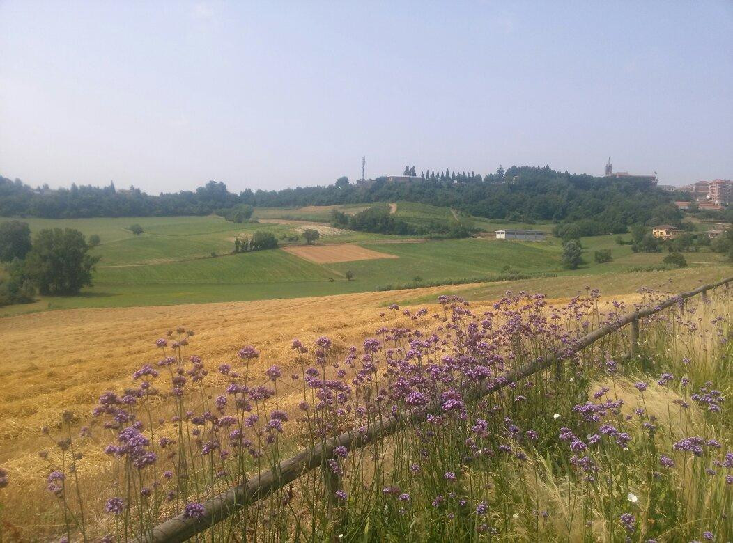 Province of Asti酒店住宿-SPINEROLA  Hotel Nidum, Restaurant Godezia, Spa Arborea