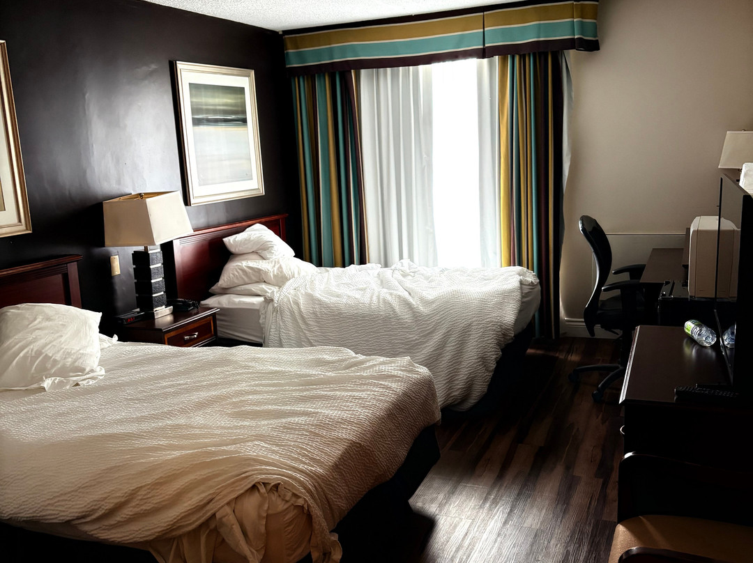 Days Inn by Wyndham Brampton主图