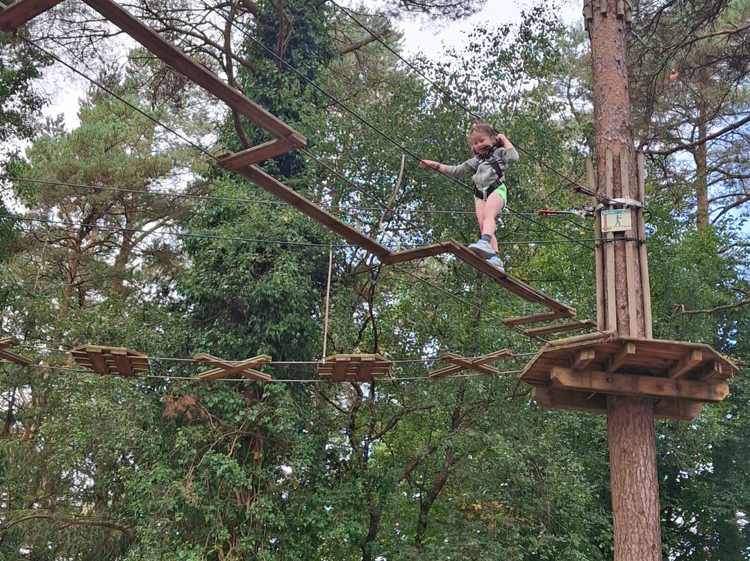 Go Ape Haldon Forest Park-埃克塞特必去景点