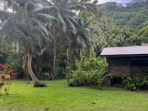 Vanilla Tours-塔哈岛必去景点