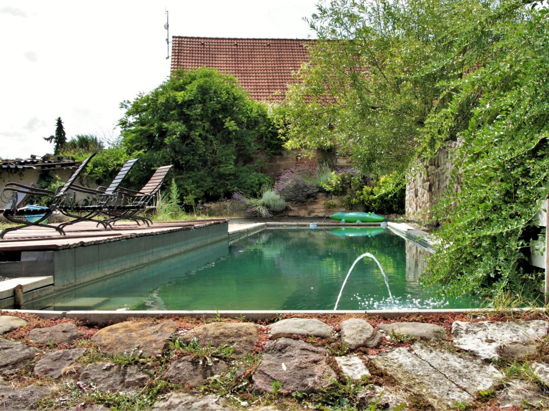 Statek Lunikov主图